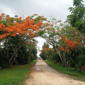 Orchid Garden Eco-Village Hotel Belize Πόλη του Μπελίζ Exterior photo