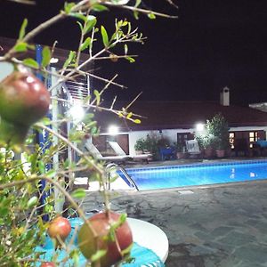 The Pomegranate'S House Βίλα Ephtagonia Exterior photo