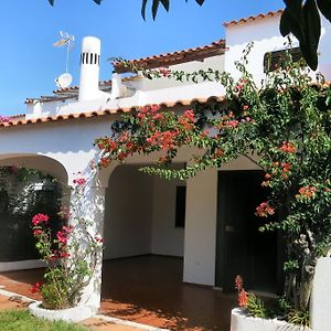 Casa Das Flores Αλμπουφέιρα Exterior photo