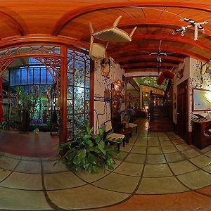 Corteza Amarilla Art Lodge Spa Σαν Χοσέ Exterior photo