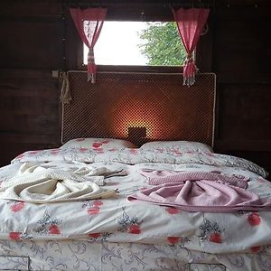 Olimbera Koy Evi Bed and Breakfast Αρτβίν Exterior photo
