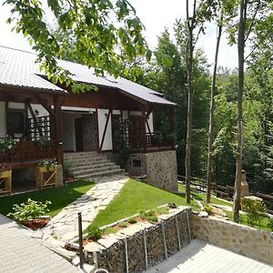 Casa Gozna Διαμέρισμα Văliug Exterior photo
