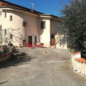 Casa Fra Gli Ulivi Di Giuseppe ξενώνας Sonnino Exterior photo
