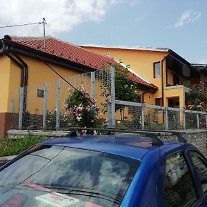 Casa Darius Διαμέρισμα Orşova Exterior photo