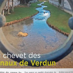 Au Chevet Des Canaux De Verdun Exterior photo
