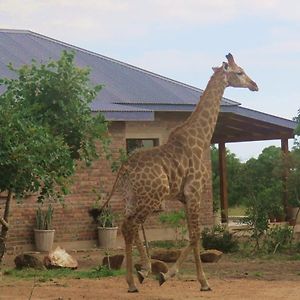 Mkhiweni Villa At Dombeya Wildlife Estate Μπαμπάνε Exterior photo