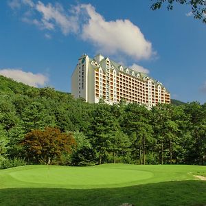 Yangji Pine Resort Γιόνγιν Exterior photo