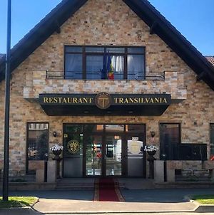Vila Restaurant Transilvania Ξενοδοχείο Zărneşti Exterior photo