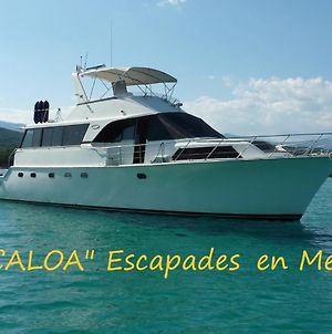 Ocean Yacht Trawler - Le Caloa Ξενοδοχείο Πόρτο Βέκιο Exterior photo