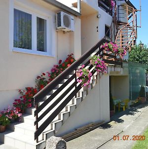 Apartmani Perovic Soko Banja Exterior photo