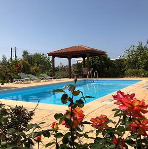 Peyia Villas Cyprus Exterior photo