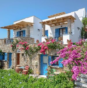 Naxos Filoxenia Hotel Γαλήνη Exterior photo