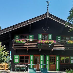 Ferienhaus Murmi Βίλα Kirchdorf in Tirol Exterior photo