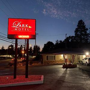 Lark Motel Willits Exterior photo
