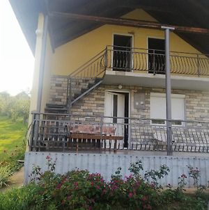 Kuca Sa Dvoristem Za Odmor, Okolina Zlatibor, Bela Zemlja-Selo Ljubanje Βίλα Užice Exterior photo