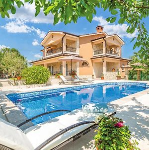Stunning Home In Nedescina With 4 Bedrooms, Wifi And Outdoor Swimming Pool Exterior photo