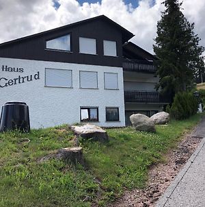 Haus Gertrud Διαμέρισμα Schönwalde Exterior photo