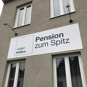 Pension Zum Spitz Seebenstein Exterior photo