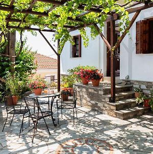 Elatos Country House Bed and Breakfast Πορταριά Exterior photo