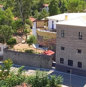 The Old Olive Mill House Βίλα Aegae Exterior photo