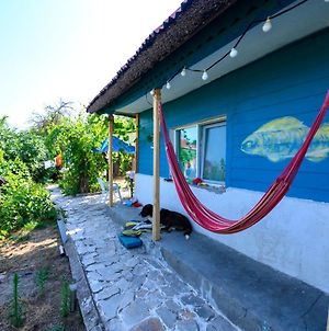 Danube Delta Hostel Homestay & Camping Σουλινάς Exterior photo