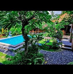 Halumba Eco Villa Bali Tejakula Exterior photo