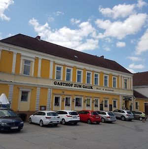 Gasthof Zum Galik Ξενοδοχείο Grosskrut Exterior photo