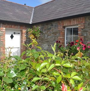Sally Gardens Cottage Downpatrick Exterior photo