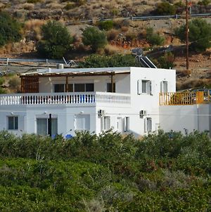 Beautiful Spacious Villa Large Plot 600M Of Sandy Beach Near Makry Gialos Se Exterior photo