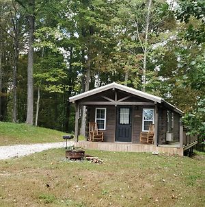The Riverside - An Amish Built Log Cabin Genoa Exterior photo