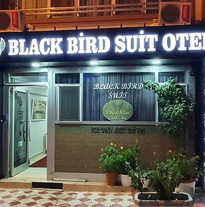 Black Bird Suite Hotel Κωνσταντινούπολη Exterior photo