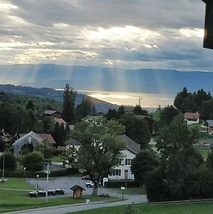 Balcony Of Lake Geneva Διαμέρισμα Thollon-les-Memises Exterior photo