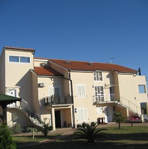 Villa „Drei Palmen“ Sveti Filip i Jakov Exterior photo