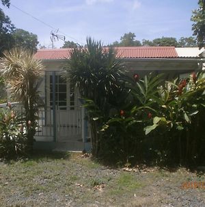 Case Creole Βίλα Πουάντ-Νουάρ Exterior photo