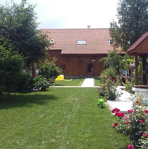 Albinuta Guesthouse Ozun Exterior photo
