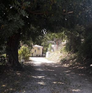 Kerkis View Houses Διαμέρισμα Καρλόβασι Exterior photo