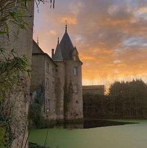 Chateau De La Preuille Bed & Breakfast Saint-Hilaire-de-Loulay Exterior photo
