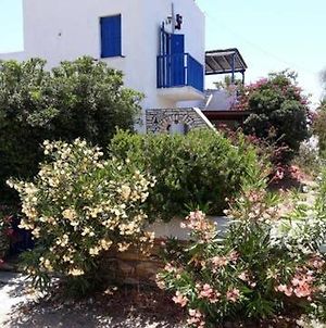 Village House In Paros Δρυός Exterior photo