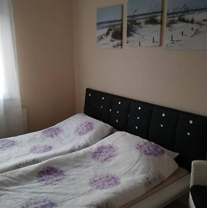 Nice Appartement Near Tradefair And City 8 Min. Κολωνία Exterior photo