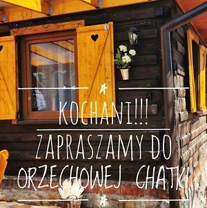 Sielanowek - Orzechowa Chatka Z Sauna Wanna Termalna Jacuzzi Διαμέρισμα Żywiec Exterior photo