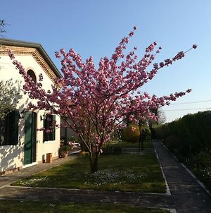 Casa Pianta Ξενοδοχείο Cavallino-Treporti Exterior photo
