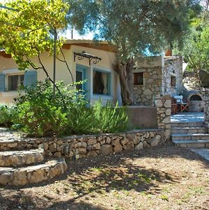 Olive Grove Cottage - Excellent View Λευκάδα Exterior photo