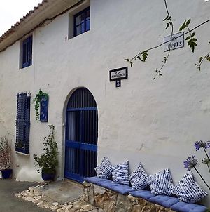 Little Vine Bed and Breakfast Sant Pere De Ribes Exterior photo