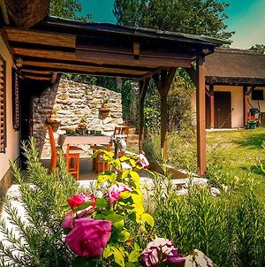 Wild Boar Cottage - Romantic Getaway Badacsonytomaj Exterior photo