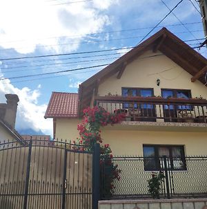 Casa Piatra Craiului Ξενοδοχείο Zărneşti Exterior photo