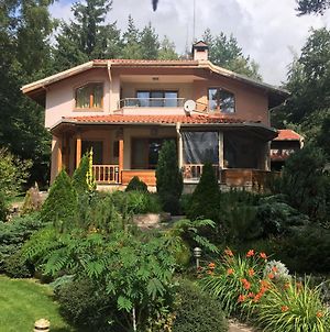 Luxury Villa Borina Zheleznitsa Exterior photo