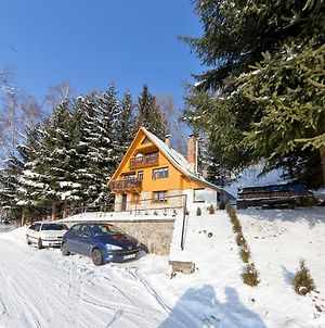 Luxury Chalet Near Ski Area In Benecko Mrklov Exterior photo