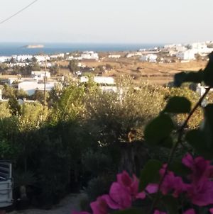 Cycladic House In Paros Βίλα Μάρπησσα Exterior photo