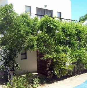 16 Rhodes-North Self Catering Apartment & Studio Στέλενμπος Exterior photo