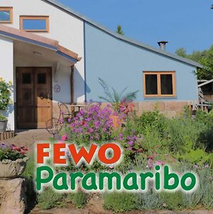 Fewo Paramaribo Διαμέρισμα Witzenhausen Exterior photo